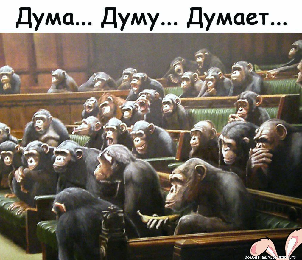 ума Думу Думает