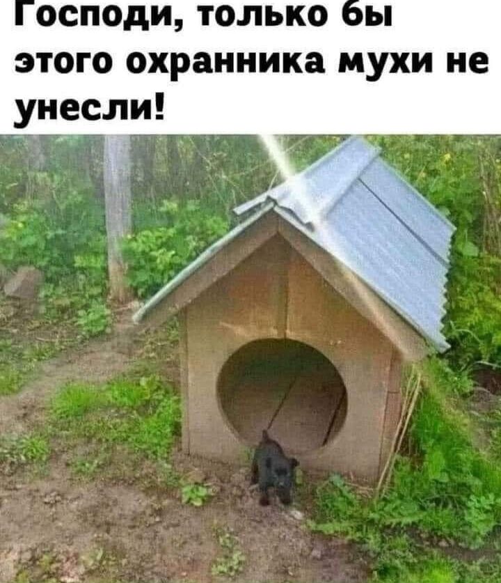 осподи только ы этого охранника мухи не унесли