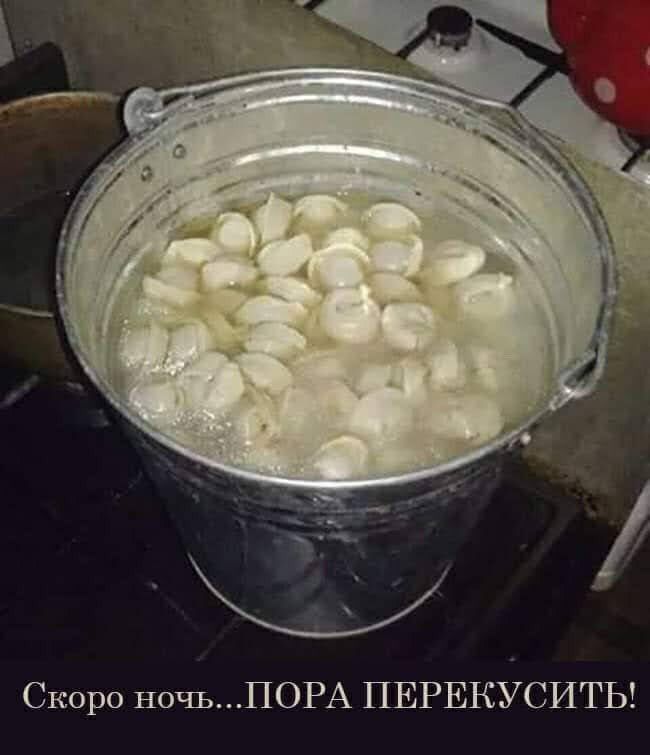 Скоро ночьПОРА ПЕРЕКУСИТЬ