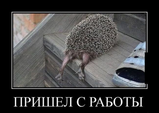 ПРИШЕЛ С РАБОТЫ