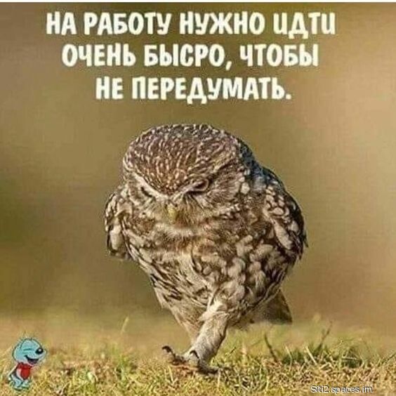 НА РАБОТУ НУЖНО НАШ ОЧЕНЬ БЫОРО ЧТОБЫ НЕ ПЕРЕАУМАТЪ