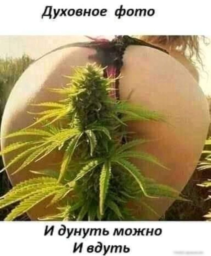 Духовное фото И дунуть можно И вдуть