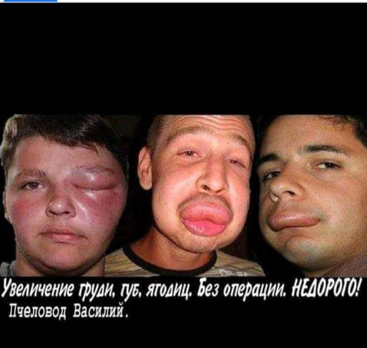 Утик щий іув шим Ё Пчеловод Василя краш