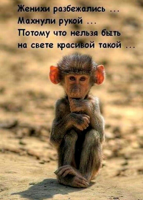 Р Потому что ьэя на свете красцй такои