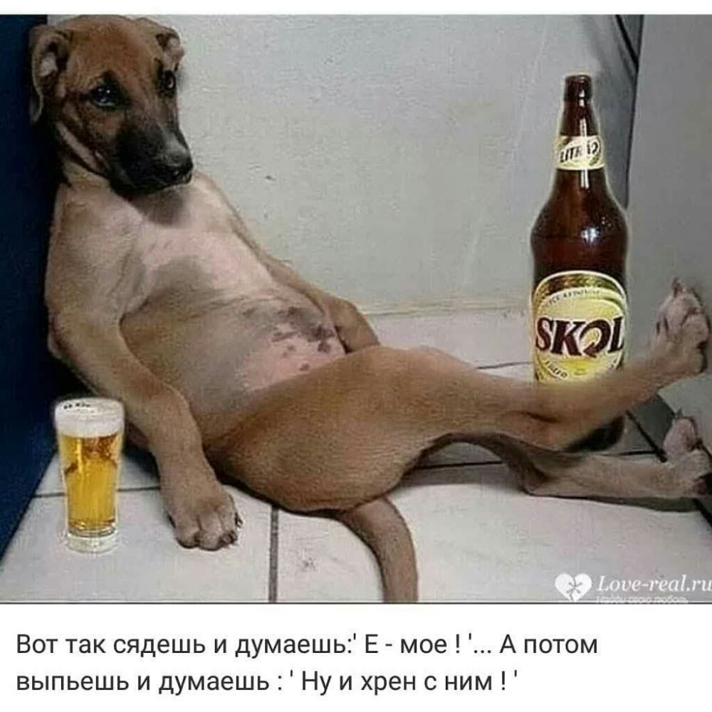 Вот так сядешь и думаешь Е мое А потом выпьешь и думаешь Ну и хрен с ним