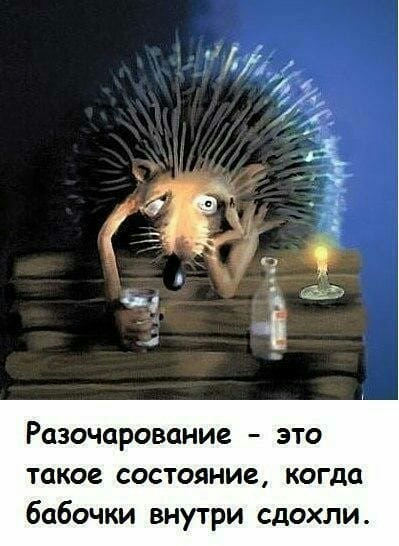 Разочарование это такое состояние когда бабочки внутри сдохли