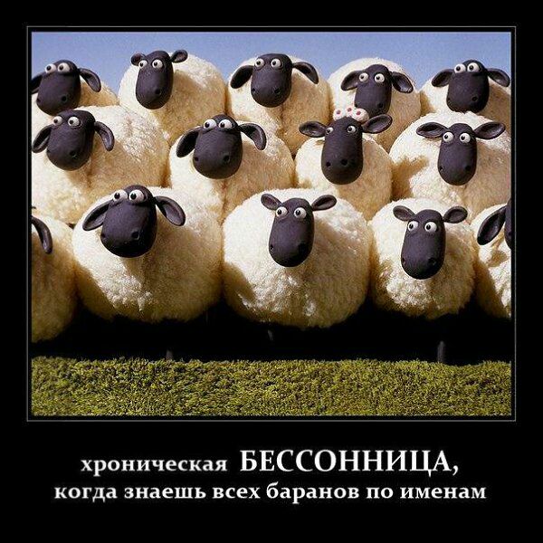 хроническая БЕССОННИЦА КОГДЗ знаешь ВСЕХ баранов ПО именам