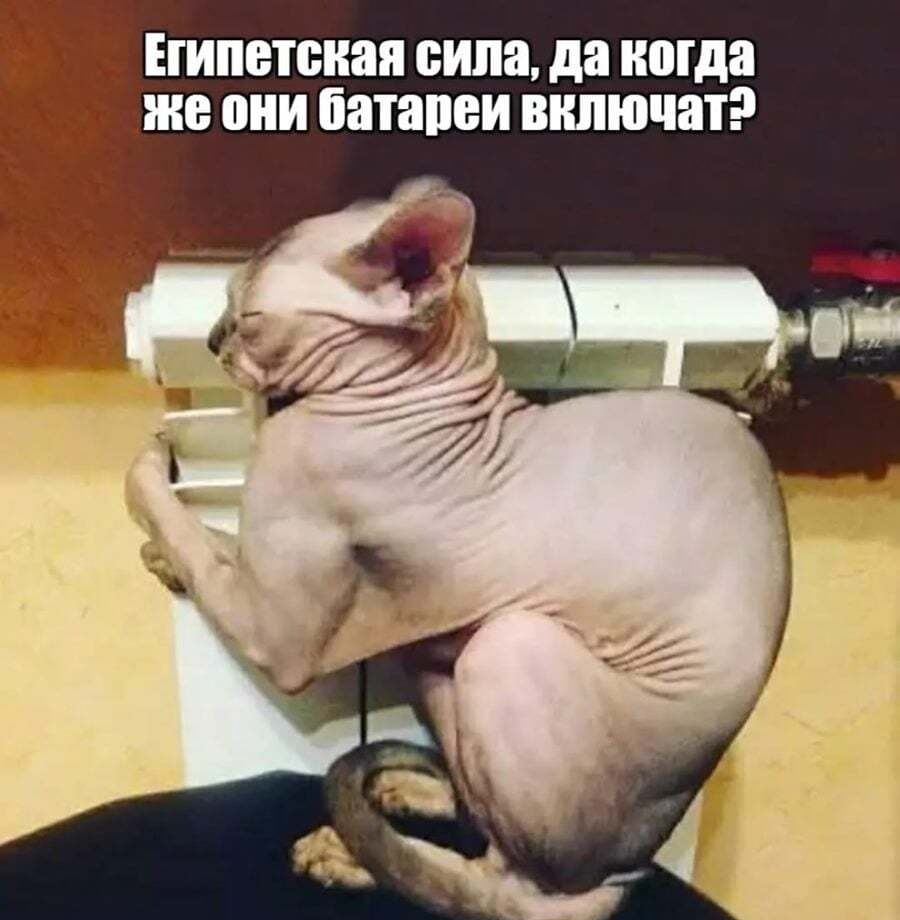 Египетская сила да когда _л же ШШ батапеи ВКЛЮЧЕН