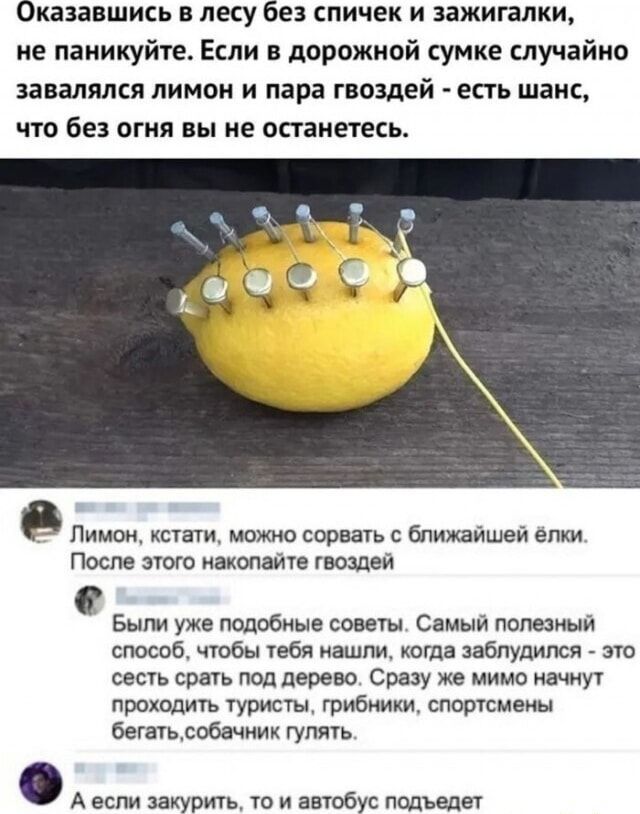 Оказавшжь в лесу без спичек и зажигалки ие паиикуйге Если в дорожной сумке случайно завалялся ЛИМОН И пара гвоздей ЕСТЬ ШЗИС чю бе огня вы не останетесь В Пим кстати можно спрыть бпижайшей елки Пост это напишите гвоздей Были уже подобные совет Самый пптзиый способ чтбы ибп ашпи кагда заблудился это весчь спать под дерево сразу же мимо начнут прохцдигь туристы грибники спортсмены Бегатьлобачиих гуп