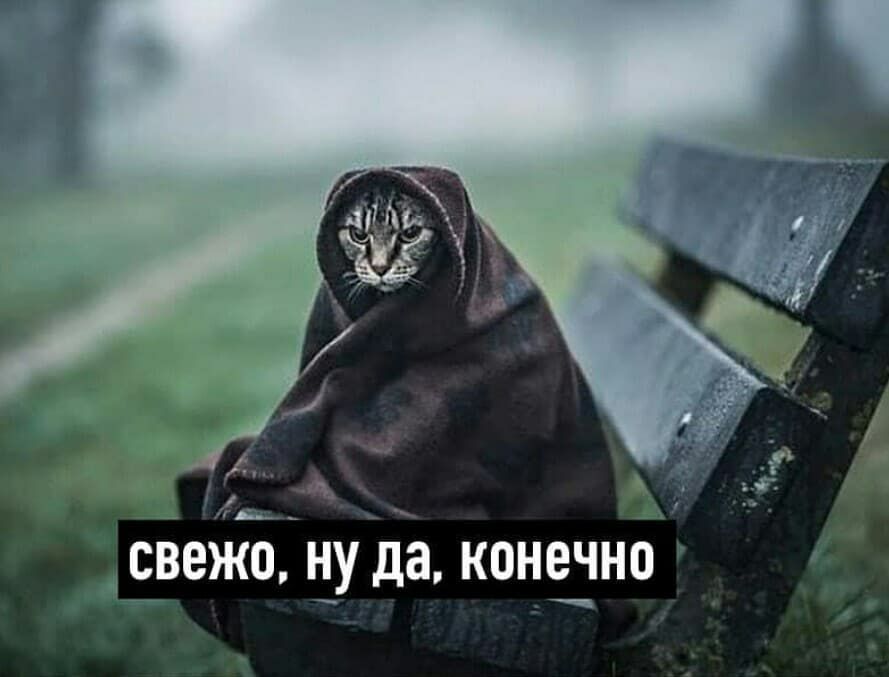 факс цу да конечноА Эм