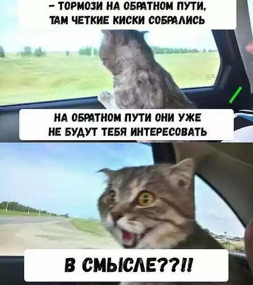 ТОРМОЗИ НА ВБЩТШШ ПУТИ ТАМ ЧЕТКИЕ киски сошлись НА ОБРАТНОЙ ПУТИ ОНИ УЖЕ НЕ БУАУТ ТЕБЯ ИНТЕРЕСОВАТЬ __ _ Т в смысіёпп