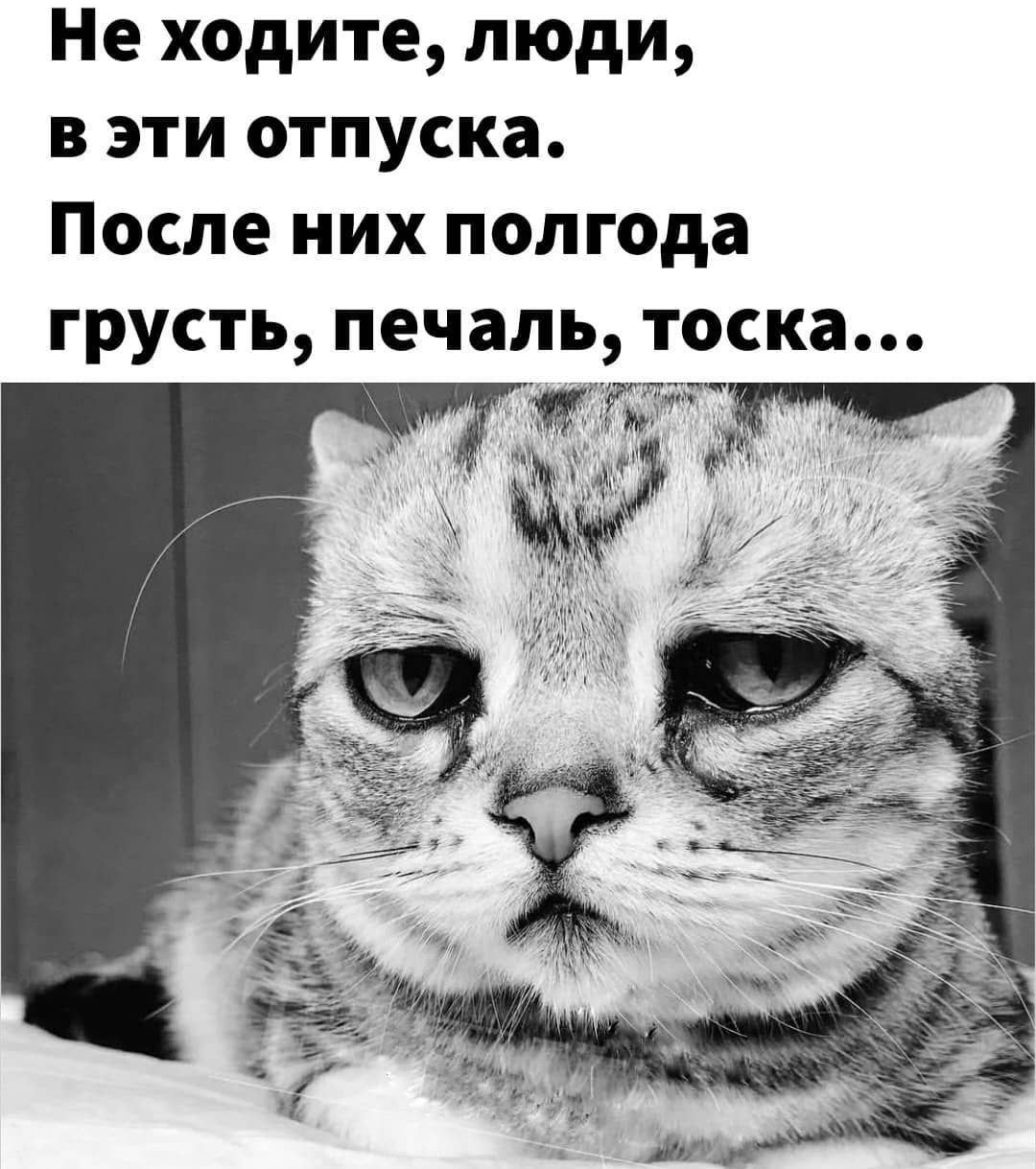 Не ходите люди в эти отпуска После них полгода грусть печаль тоска И