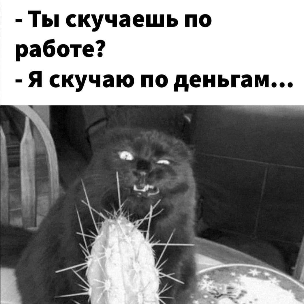 Ты скучаешь по работе Я скучаю по деньгам