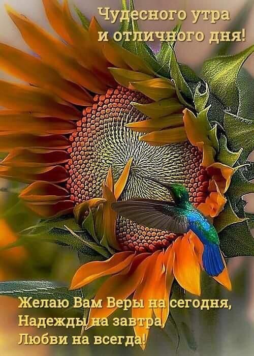 ЖеЁіо Б 3 сегодня вдежд ви на всегд А