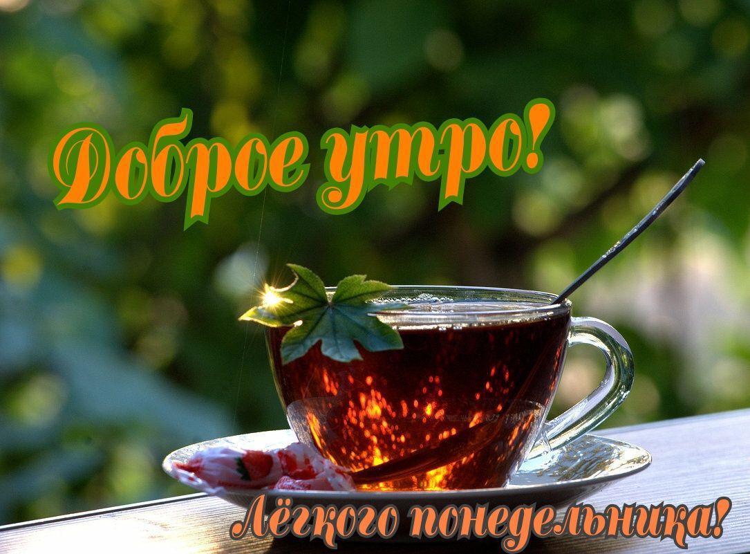 ёщого попадемища