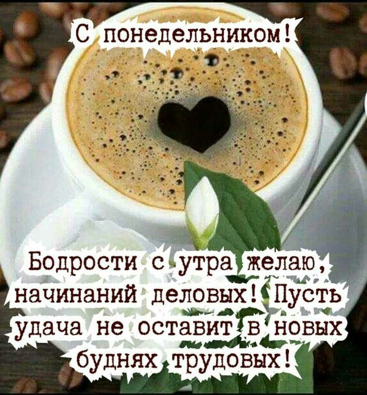 С донедеірНиком Бодрости сутра желаю начинаний деловыхЁПусть и С удача не 0 ТЗВИТ ЁЗЭВЫХ буднях трудовых