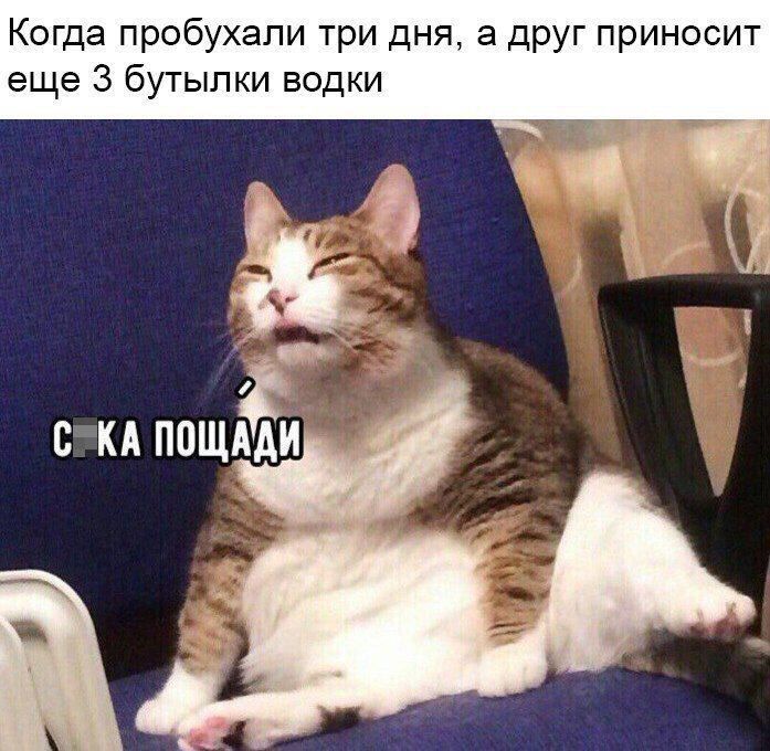 Когда пробухали три дня а друг приносит еще 3 бутылки водки С КА ПОЩЁИ