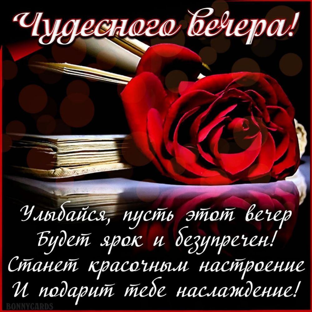 эйвліёеъеэ Будей ярос и уЪвещ СМ красоттм подари47 пидг наслаждение