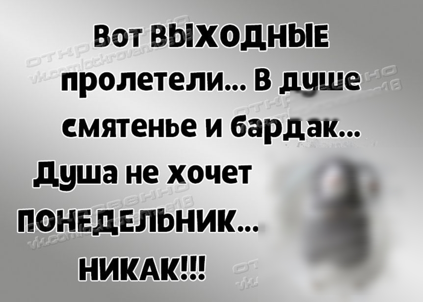 Вот ВЫХОДНЫЕ пролетели В душе смятенье И бардак душа не хочет ПОНЕДЕЛЬНИК НИКАК