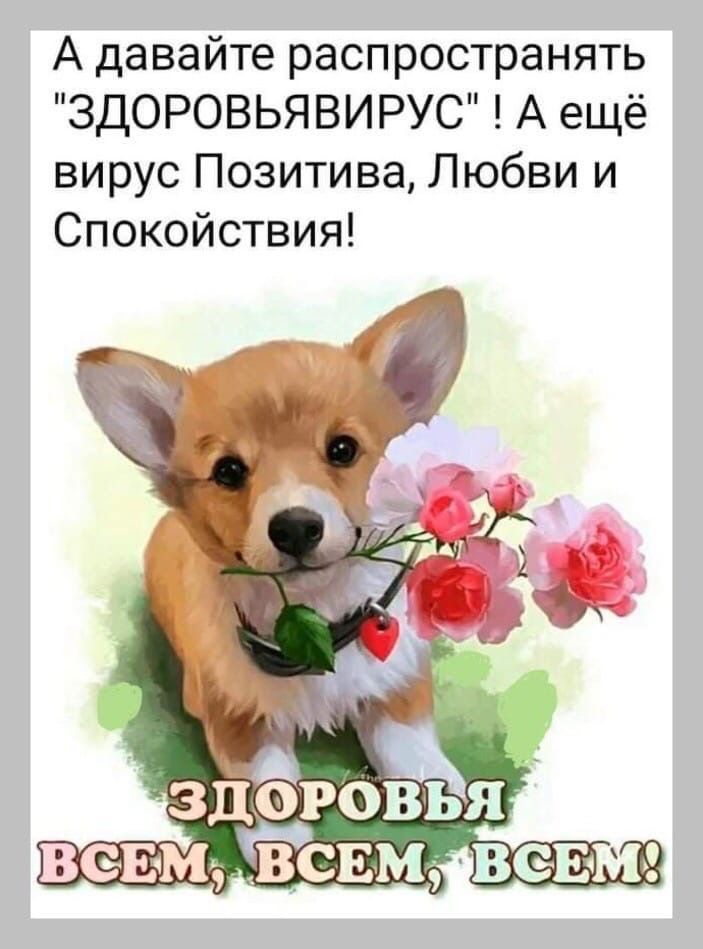 А давайте распространять ЗДОРОВЬЯВИРУС А ещё вирус Позитива Любви и Спокойствия