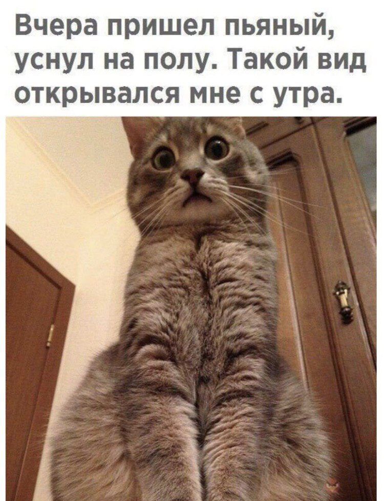Вчера пришел пьяный уснул на полу Такой вид открывался мне с утра