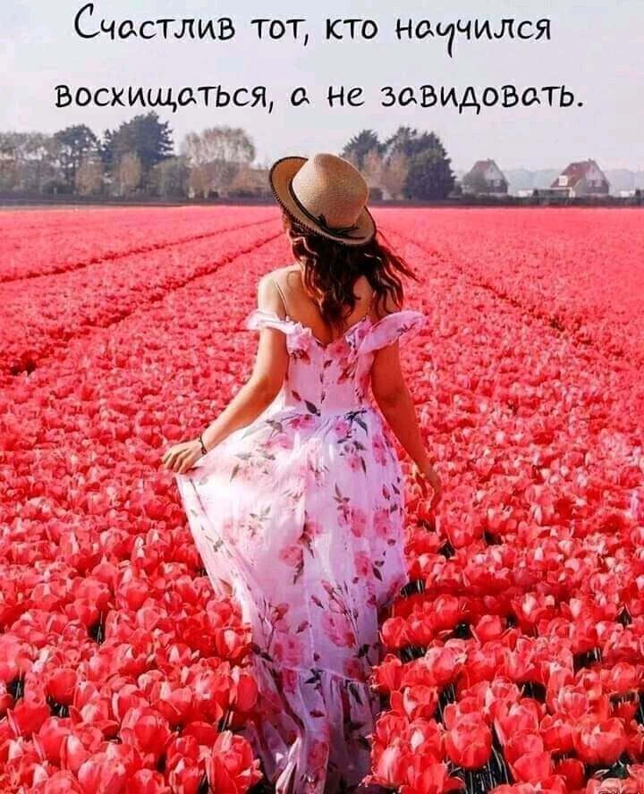 Счастлив тот кто нщчился ВосхищоТЬСя а не завидоввть адд