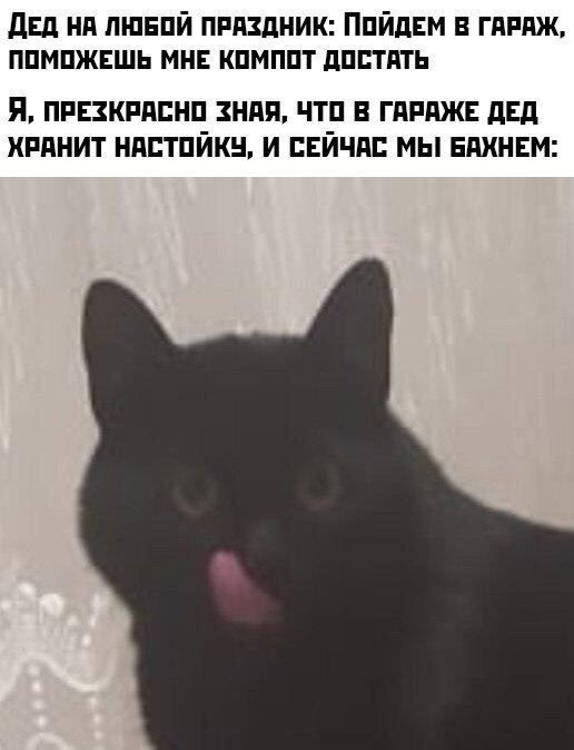 двд нп пшвпй ппдздник Ппйдвм в гяпдж ппмпжвшь мн кпмппт дпптять Я ПРЕЗКРАПНП ЗНПП ЧТП В ГАРАЖЕ дЕд ХРПНИТ НАПТПЙКН И СЕЙЧАС МЫ ЕАХНЕМ