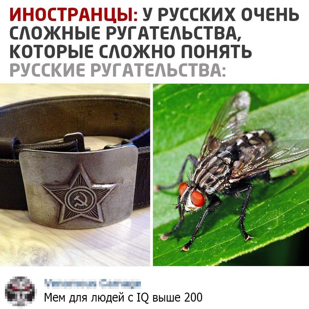ИНОСТРАНЦЫ У РУССКИХ ОЧЕНЬ САОЖНЫЕ РУГАТЕАЬСТВА КОТОРЫЕ САОЖНО ПОНЯТЬ Е ё Мем для людей с Ю выше 200