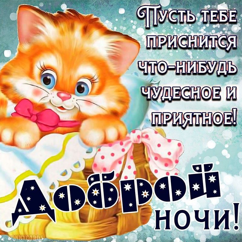 ЧТО НИБ ё 9 1 Но 31 59 ЁЧЬЁЁ к в ночи ___ль а н