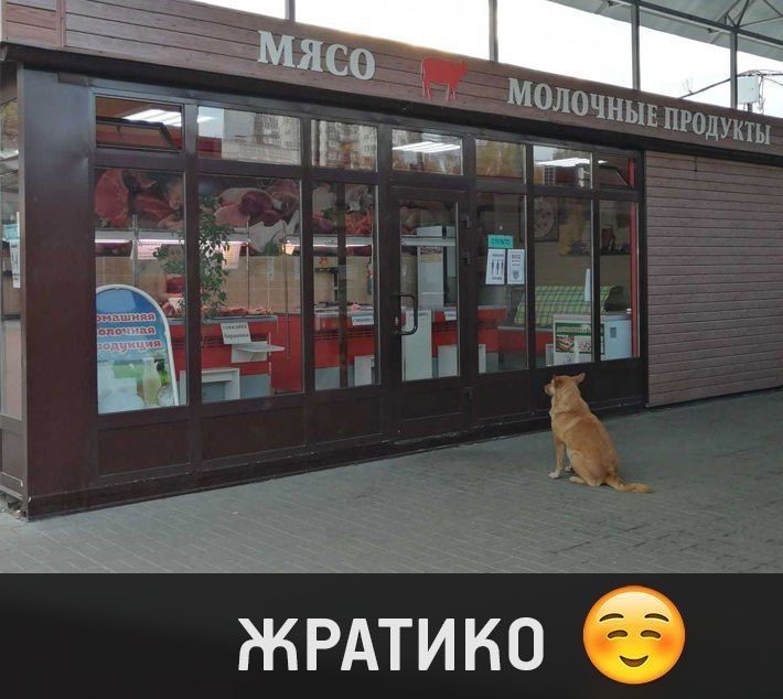 ЖРАТИКО