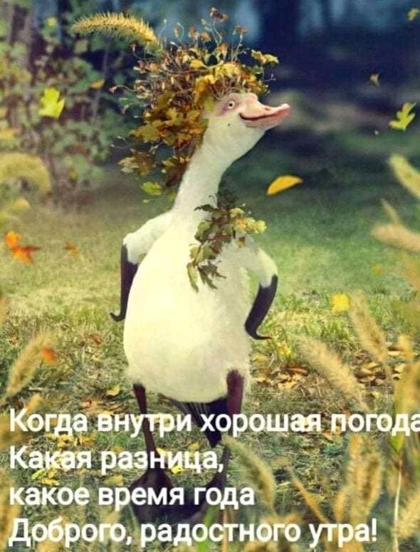 Когда внутри х9рёщш НОЮДЕ Кат вЬемЁч года доброго радоагнбго утра