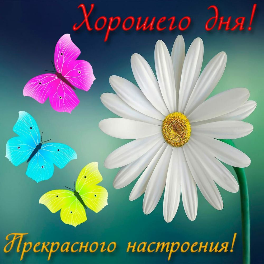 Хорошсю дня Лоскрасного настроения