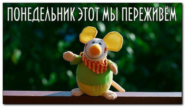 ПОНЕДЕАЬННК ЭТОТ МЫ ПЕРЕЖТТВЁМ мы