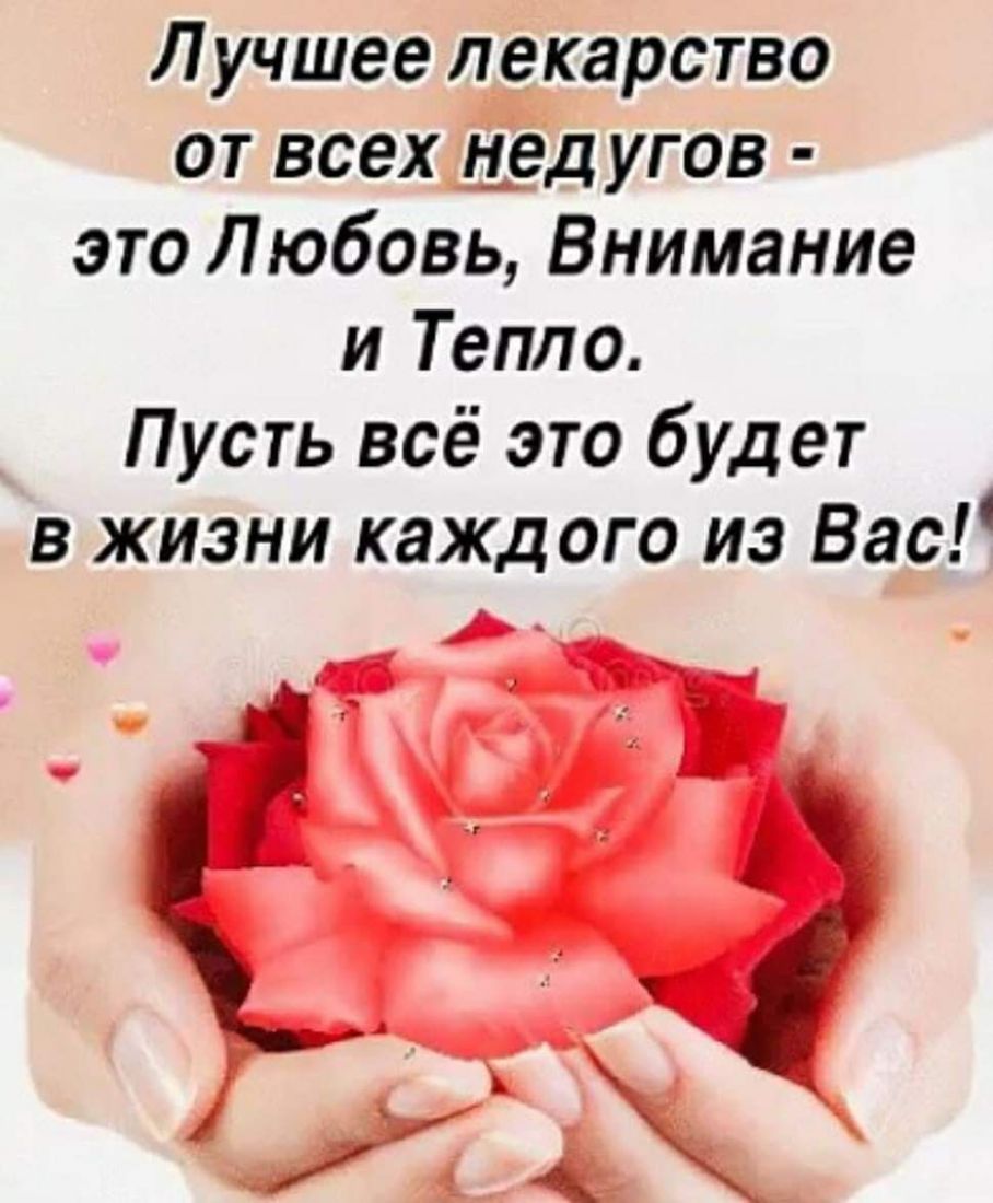 Лучшее лекарство от всех недугов это Любовь Внимание и Тепло Пусть всё это будет в жизни каждого из Вас