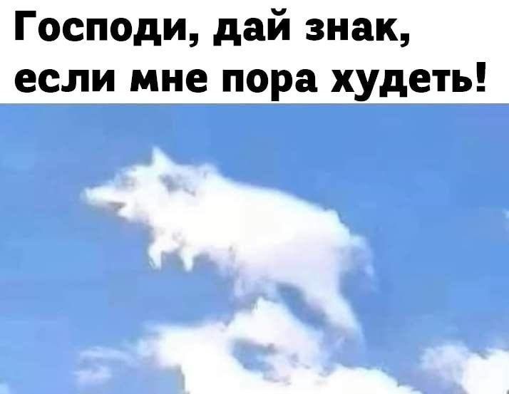 Господи дай знак если мне пора худеть