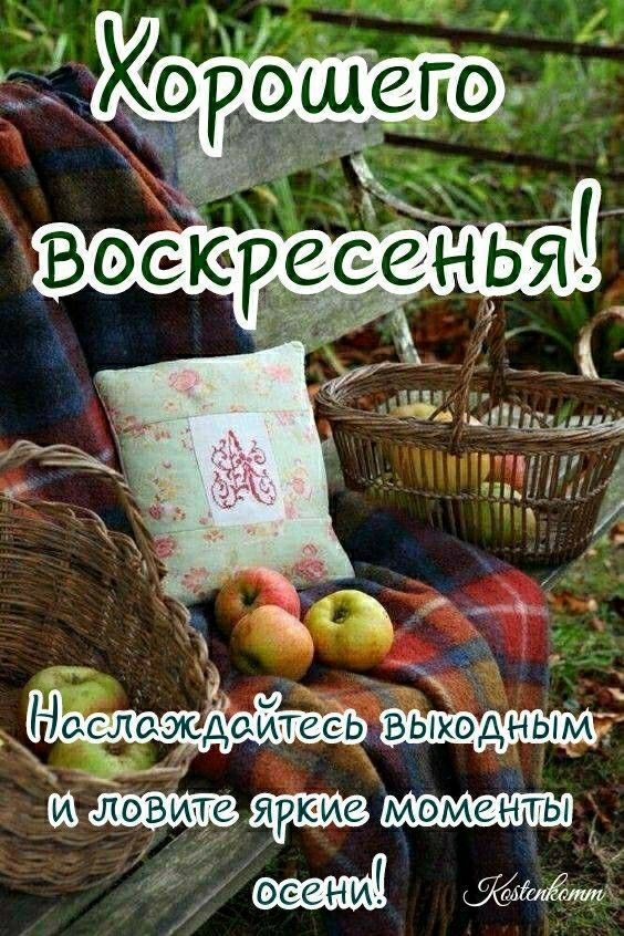 _щ и