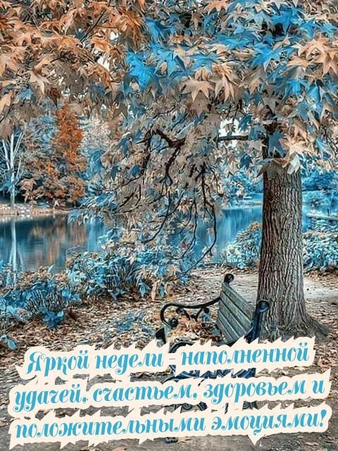 Щщш Н_41_ нсЁш тент ж 514170 титы И МЫ иг ИЖШШ юными шшми