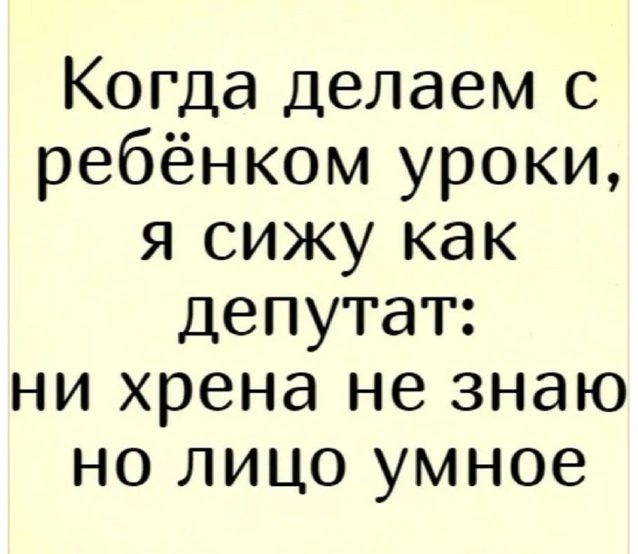Когда делаем с ребёнком уроки я сижу как депутат ни хрена не знаю но лицо умное