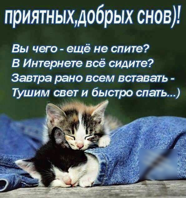приятныхдобрых снов Вы чего ещё не спите В Интернете всё сидите Завтра рано всем вставать Тушим свет и быстро спать