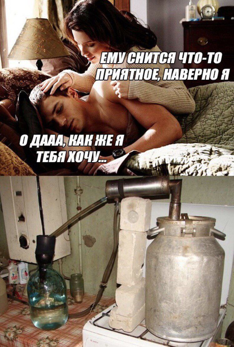 _ адшдклиш я шлют