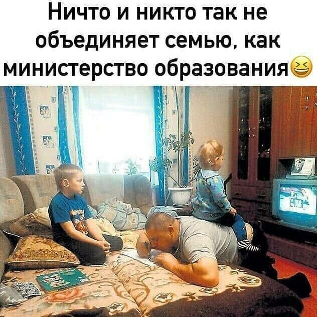НИЧТО И НИКТО ТЗК не объединяет СЕМЬЮ КНК МИНИСТЭРСТВО образования 3