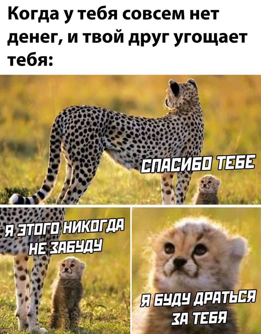 Когда у тебя совсем нет денег и твой друг угощает тебя я зТпгп никпгдд _ _ г нг здвндн _ _ і таили длиться