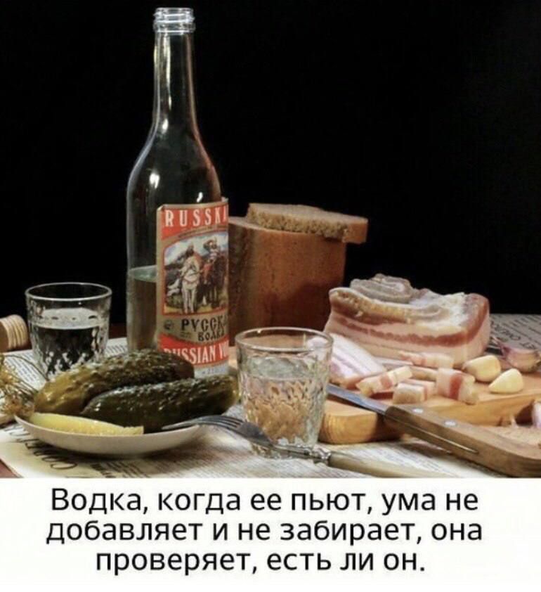 Водка когда ее пьют ума не добавляет и не забирает она проверяет есть ли он