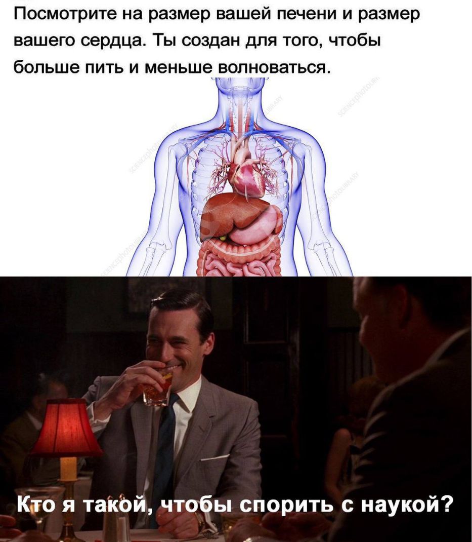 Посмотрите на размер вашей печени и размер вашего сердца Ты создан для того чтобы больше пить и меньше волноваться Кто я такой чтоёы спорить с наукой