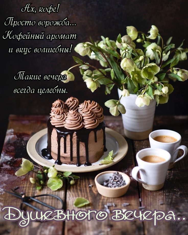 Ёж шафа Шросто ворожба Кофейный аралшт
