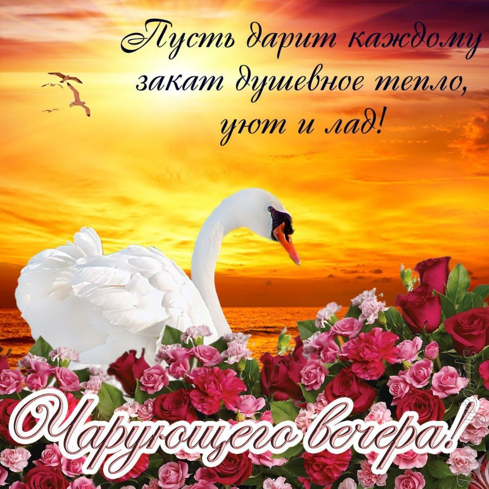 Ёустъ дашим тк закят душебнае тепло _ уют ляд