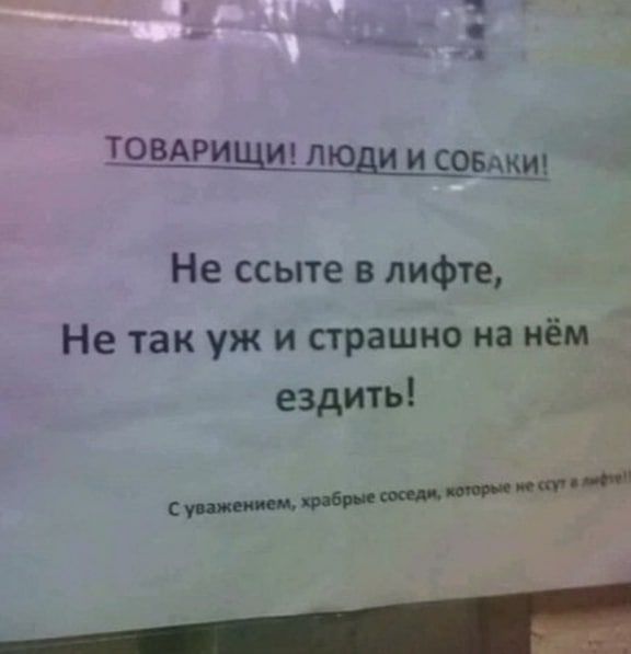 1 ТОВАРИ И то И и СОБАКИ Не ссыте в лифте Не так уж и страшно на нём ездить мм __