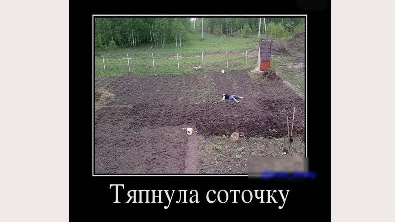 Тяпнула соточку