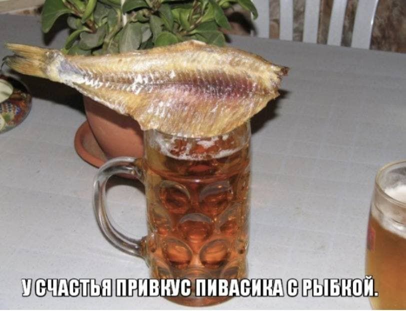 Мснастья привнус пива икатсвытько