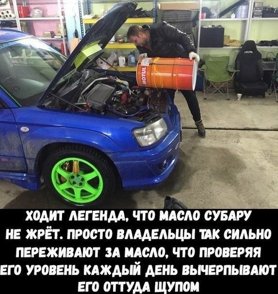 __ дд ходит давим что идет оувт не жрёт просто вдцндьцы так сильно переживдют и щодо что проверяя его уровень каждый день вьнврпывтт его оттум щупои
